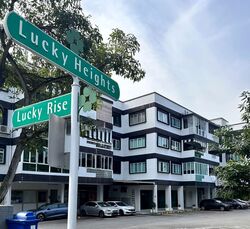 Lucky Court (D16), Shop House #601477981